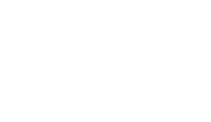 Birdie & Buck Web logo 1 retina